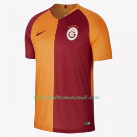Günstige Fußballtrikots Galatasaray Spor Kulübü 2018-2019 Kurzarm Heimtrikotsatz kaufen
